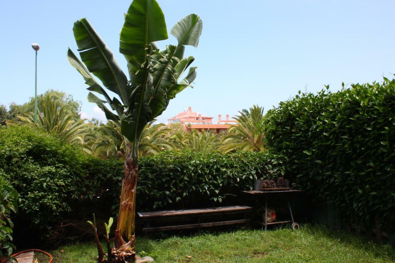 Apartamentos Con Jardin Y Pescina Puerto de la Cruz  Exteriér fotografie