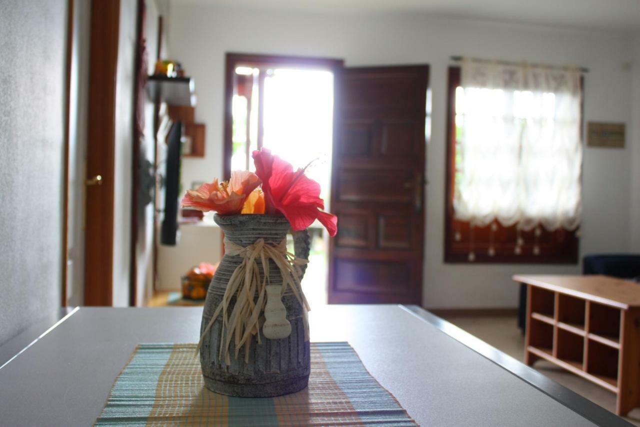 Apartamentos Con Jardin Y Pescina Puerto de la Cruz  Exteriér fotografie